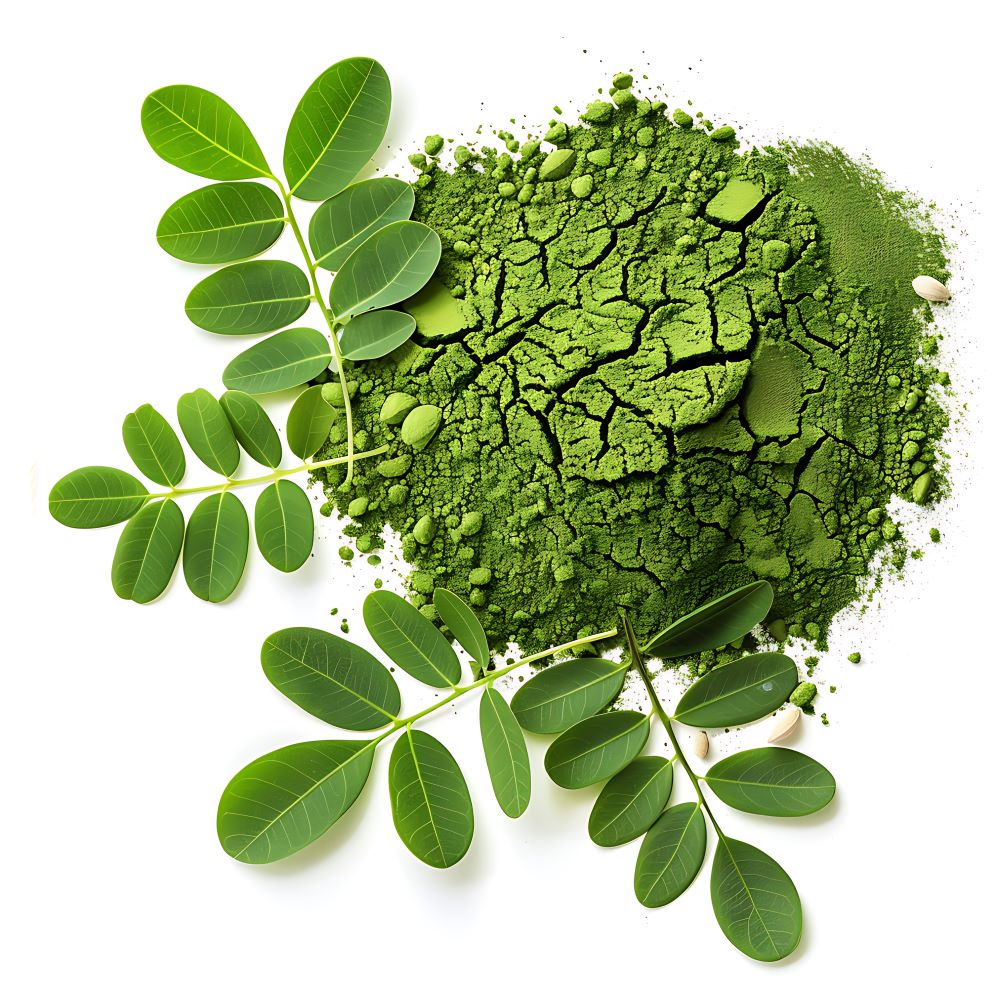 Moringa Powder